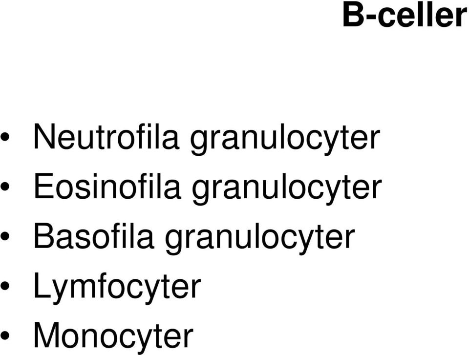 granulocyter Basofila