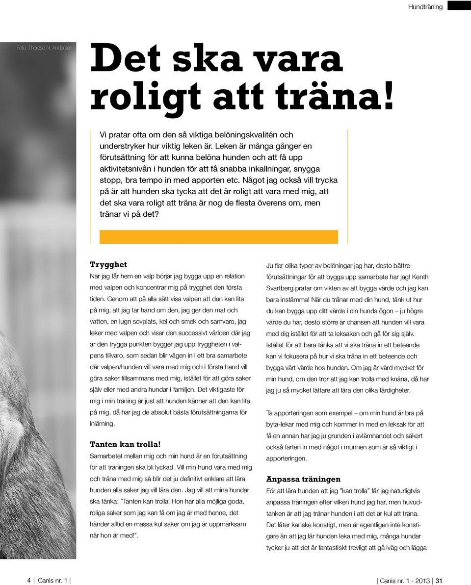 Något jag också vill trycka på är att hunden ska tycka att det är roligt att vara med mig, att det ska vara roligt att träna är nog de flesta överens om, men tränar vi på det?