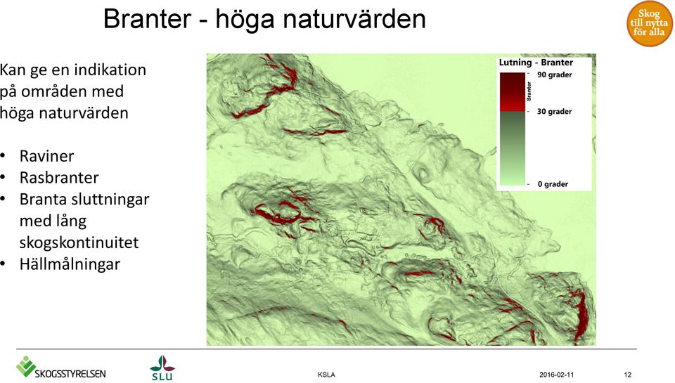 sluttningar med lång skogskontinuitet