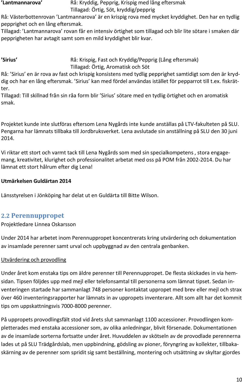 Tillagad: Lantmannarova rovan får en intensiv örtighet som tillagad och blir lite sötare i smaken där pepprigheten har avtagit samt som en mild kryddighet blir kvar.