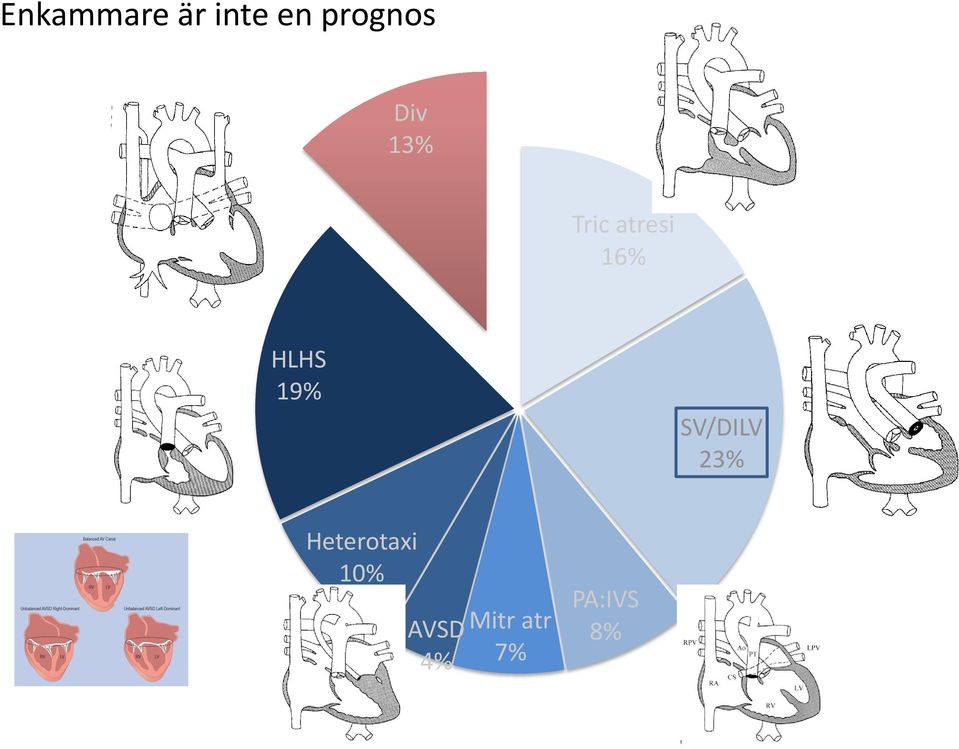 19% SV/DILV 23% Heterotaxi