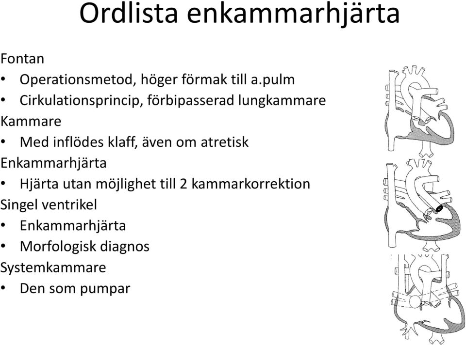 klaff, även om atretisk Enkammarhjärta Hjärta utan möjlighet till 2