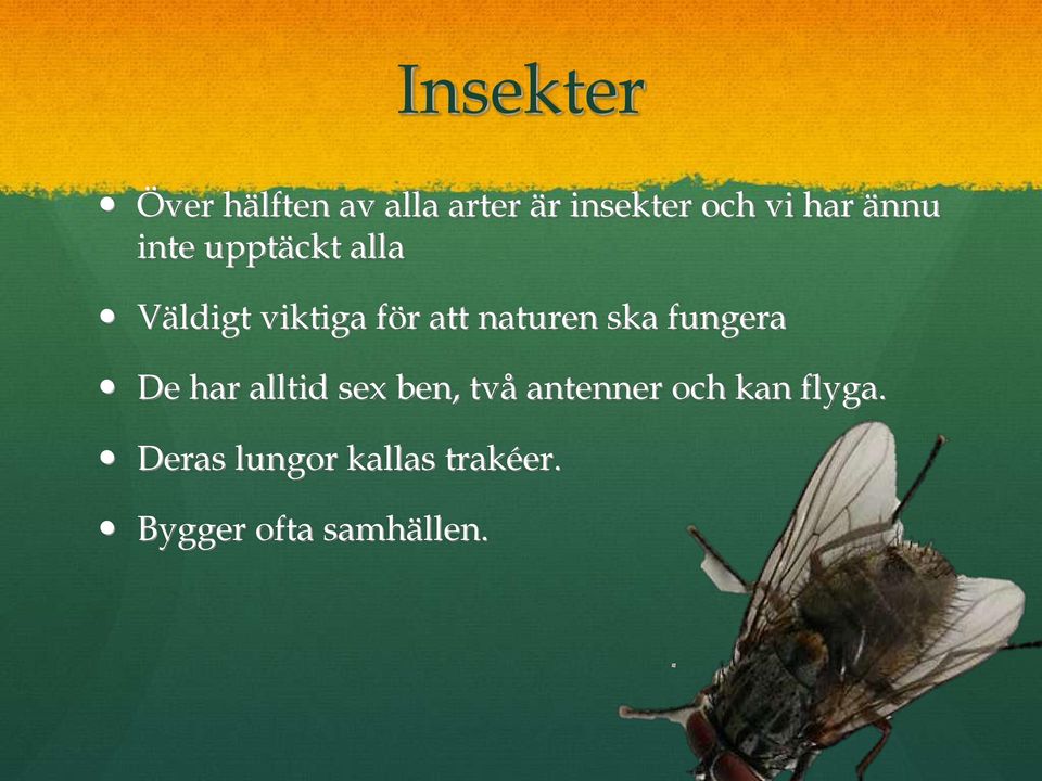 naturen ska fungera De har alltid sex ben, två antenner