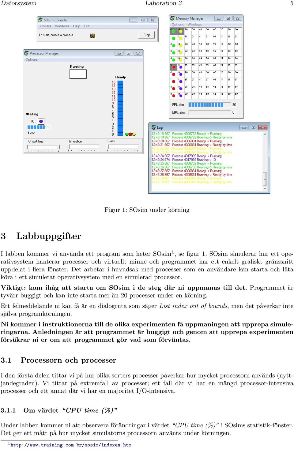 Det arbetar i huvudsak med processer som en användare kan starta och låta köra i ett simulerat operativsystem med en simulerad processor.