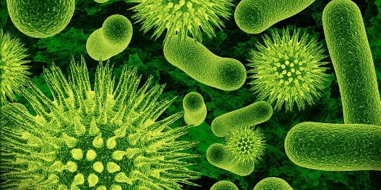 Den moderna sjukvårdens förutsättningar Infektioner idag & imorgon Våra åtgärder & utmaningar 1. Att vi kan förebygga infektioner genom.effektiv antibiotikaprofylax.