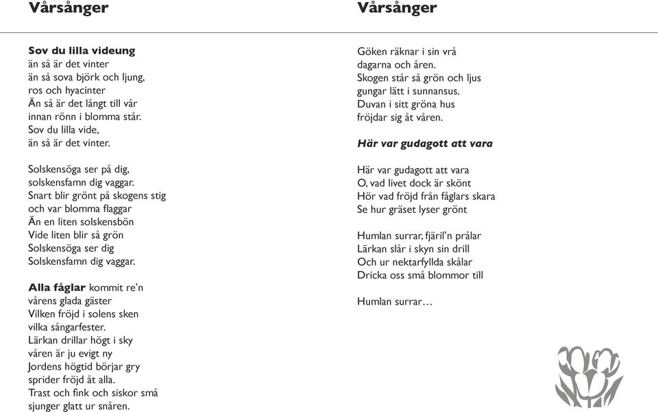 Alla fåglar kommit re n vårens glada gäster Vilken fröjd i solens sken vilka sångarfester. Lärkan drillar högt i sky våren är ju evigt ny Jordens högtid börjar gry sprider fröjd åt alla.