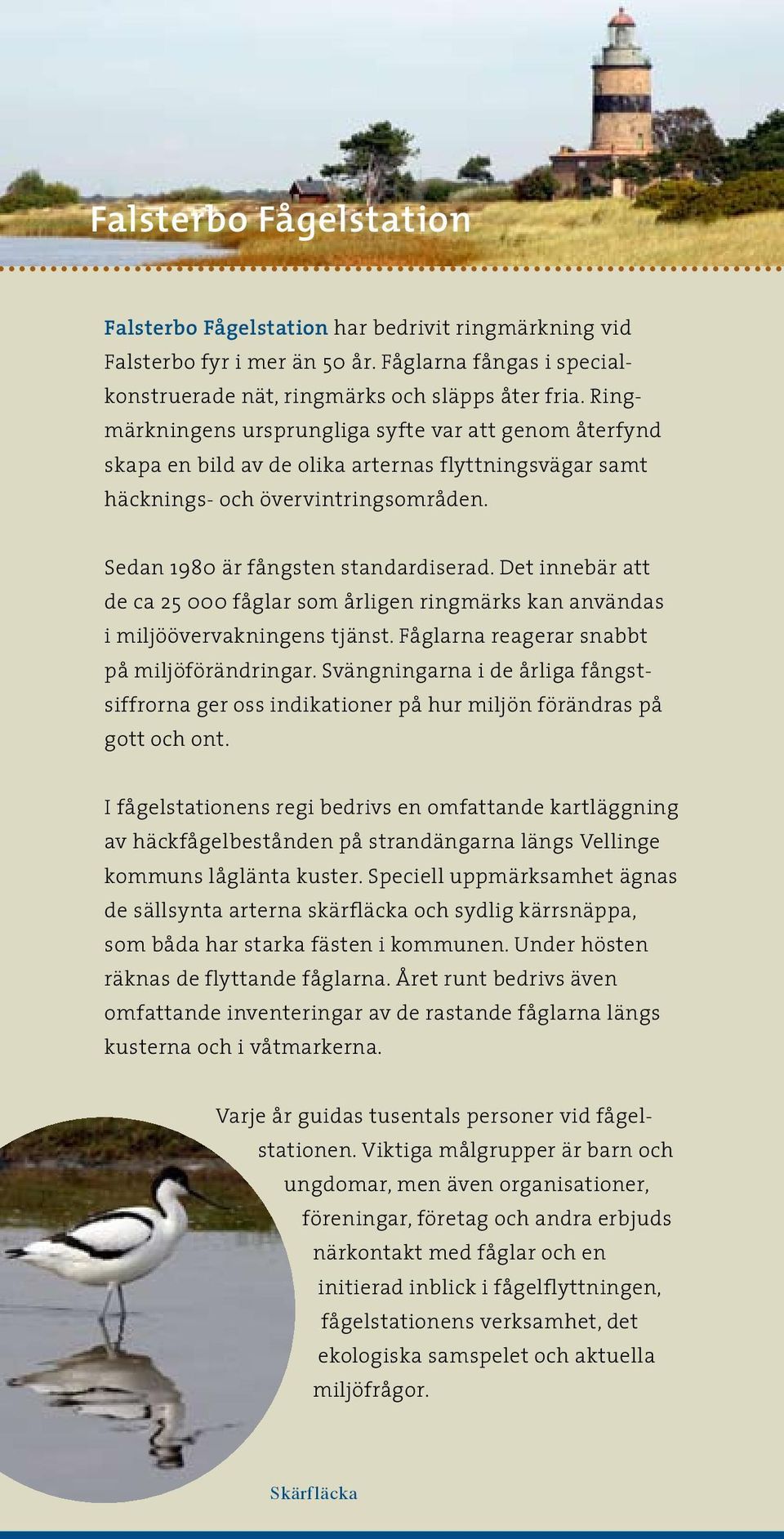 Det innebär att de ca 25 000 fåglar som årligen ringmärks kan användas i miljöövervakningens tjänst. Fåglarna reagerar snabbt på miljöförändringar.