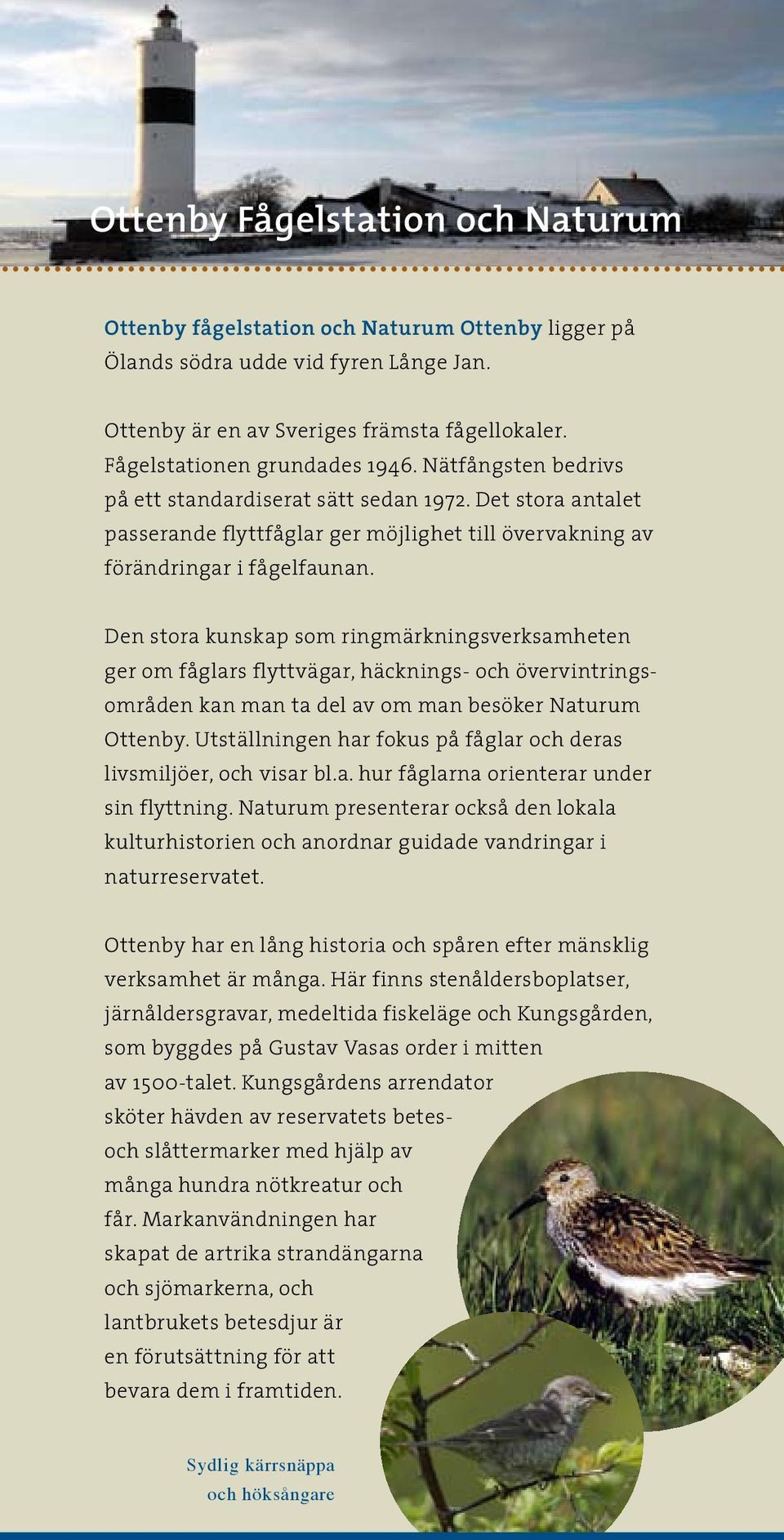 Den stora kunskap som ringmärkningsverksamheten ger om fåglars flyttvägar, häcknings- och övervintringsområden kan man ta del av om man besöker Naturum Ottenby.