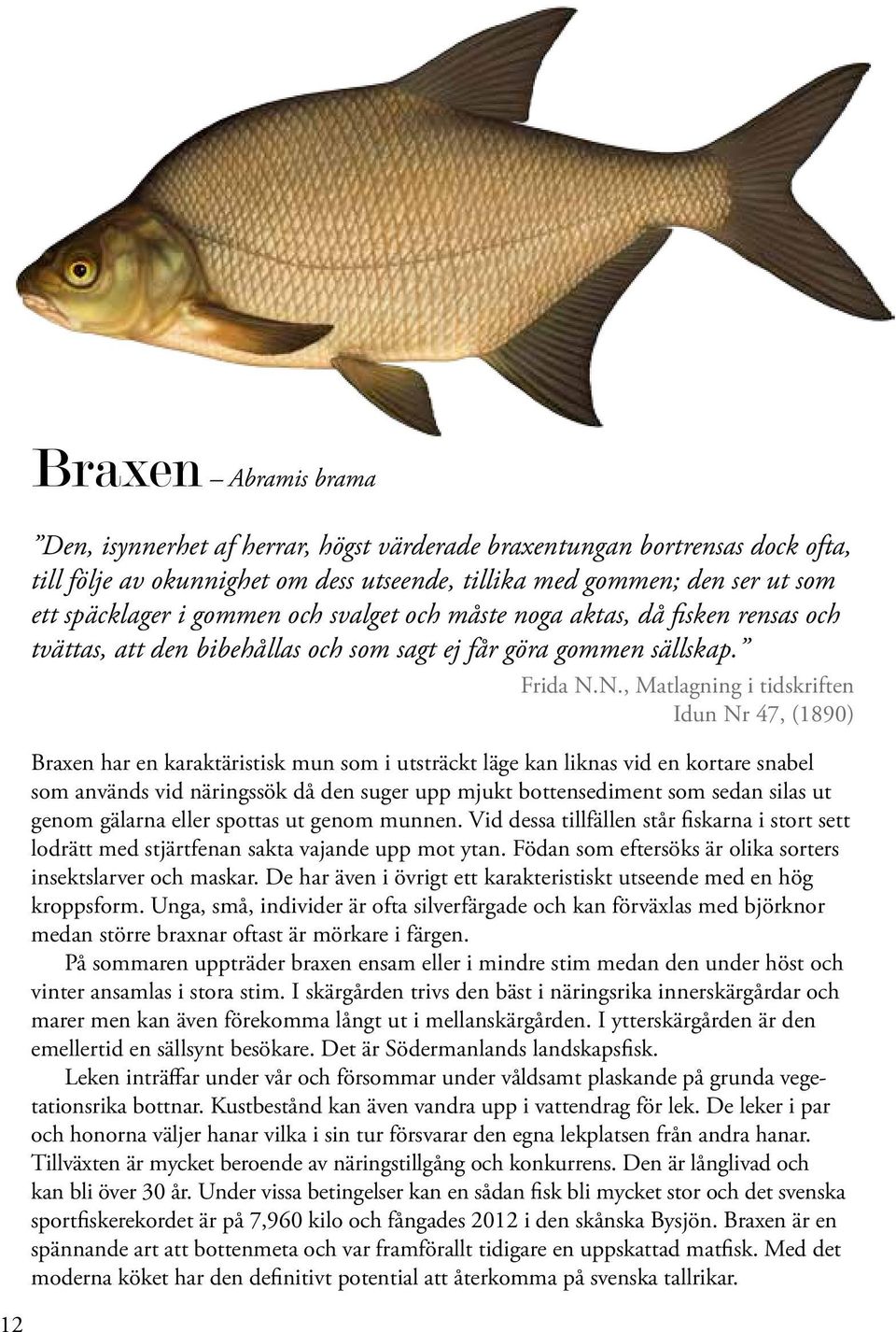 N., Matlagning i tidskriften Idun Nr 47, (1890) Braxen har en karaktäristisk mun som i utsträckt läge kan liknas vid en kortare snabel som används vid näringssök då den suger upp mjukt bottensediment