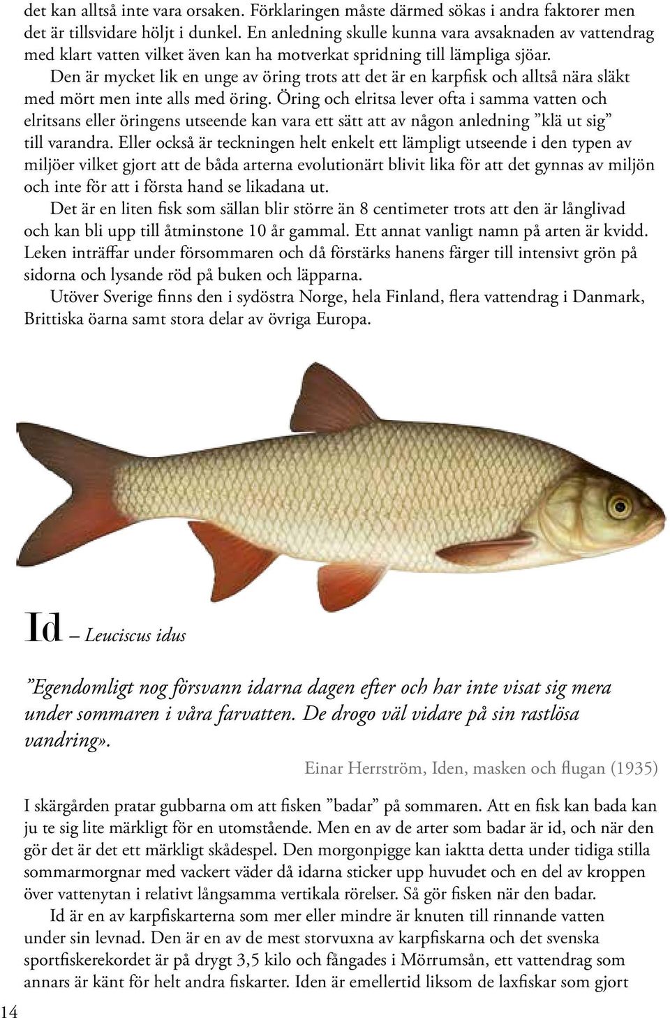 Den är mycket lik en unge av öring trots att det är en karpfisk och alltså nära släkt med mört men inte alls med öring.