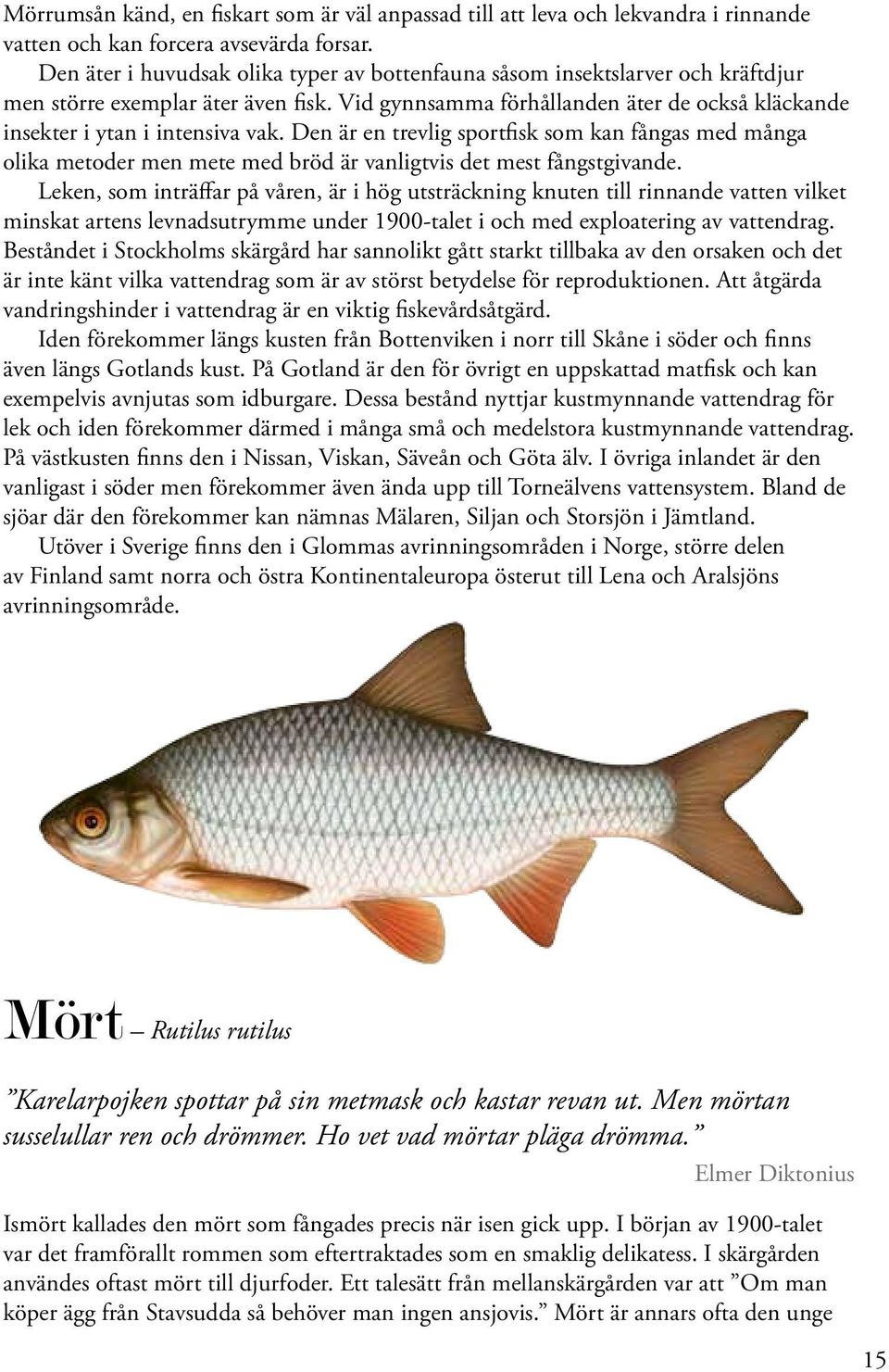 Den är en trevlig sportfisk som kan fångas med många olika metoder men mete med bröd är vanligtvis det mest fångstgivande.