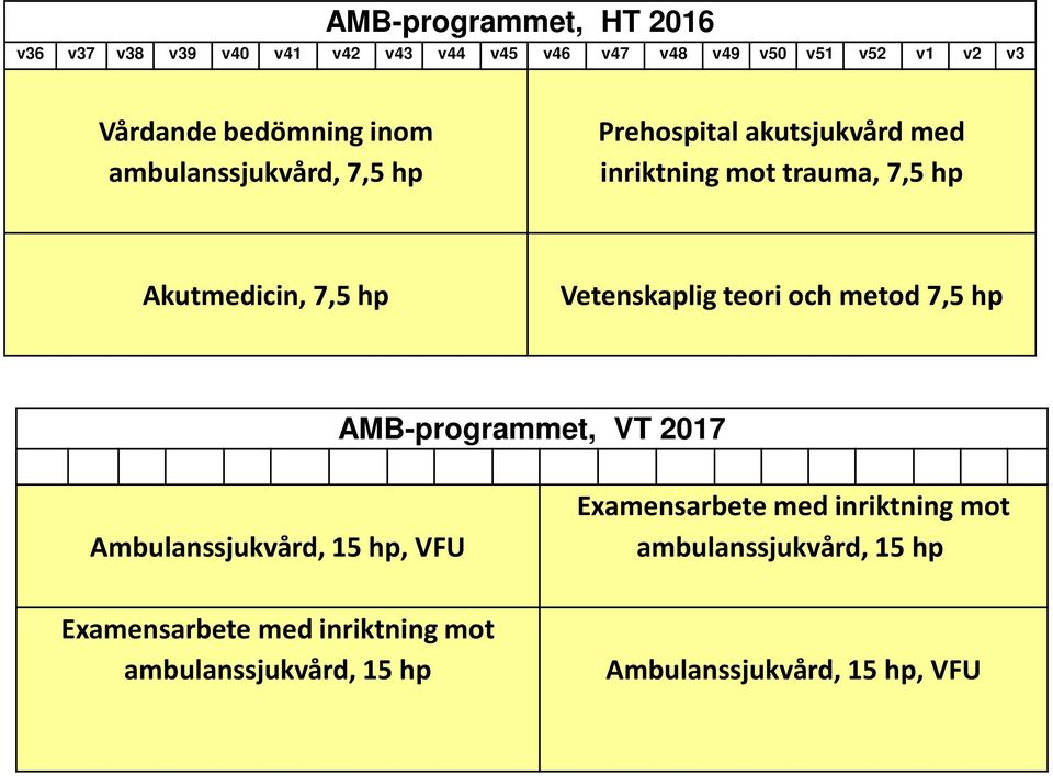 7,5 hp Vetenskaplig teori och metod 7,5 hp AMB-programmet, VT 2017 Ambulanssjukvård, 15 hp, VFU Examensarbete med