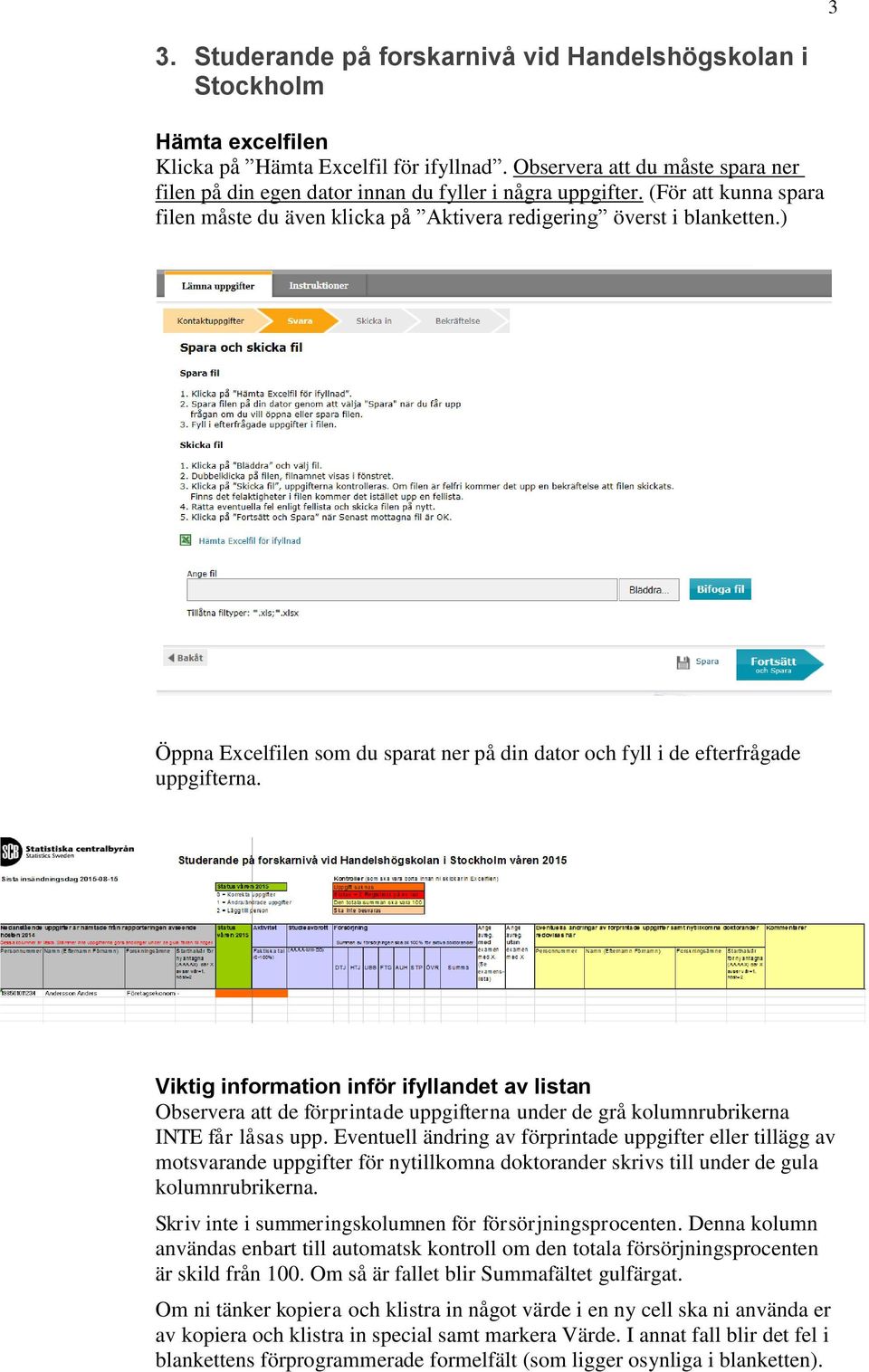 ) Öppna Excelfilen som du sparat ner på din dator och fyll i de efterfrågade uppgifterna.