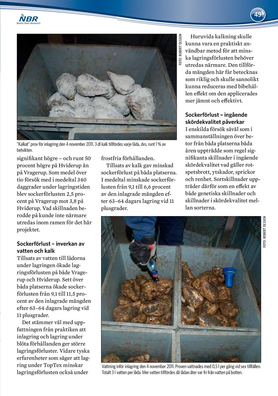 Kalkat prov för inlagring den 4 november 2011. 3 dl kalk tillfördes varje låda, dvs. runt 1 % av betvikten. signifikant högre och runt 50 procent högre på Hviderup än på Vragerup.