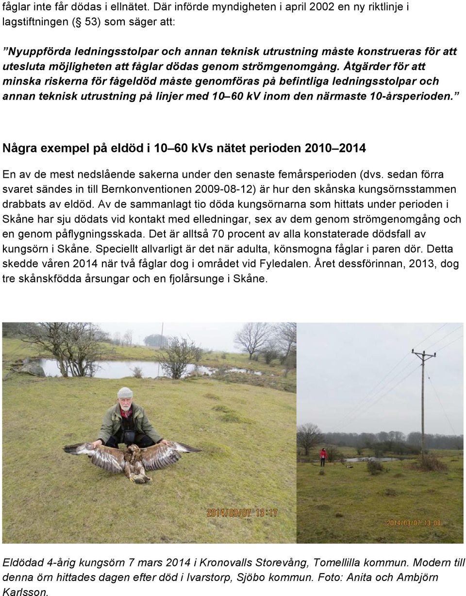 fåglar dödas genom strömgenomgång.