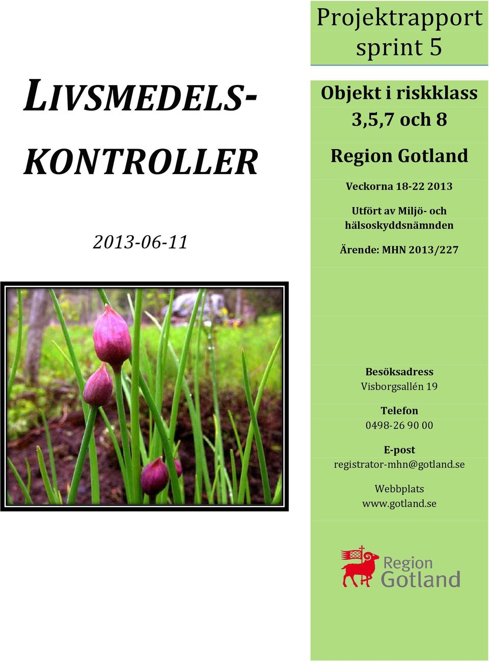 och hälsoskyddsnämnden Ärende: MHN 2013/227 Besöksadress Visborgsallén 19