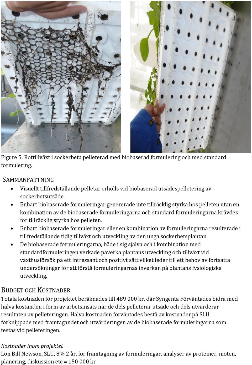 Enbart biobaserade formuleringar genererade inte tillräcklig styrka hos pelleten utan en kombination av de biobaserade formuleringarna och standard formuleringarna krävdes för tillräcklig styrka hos