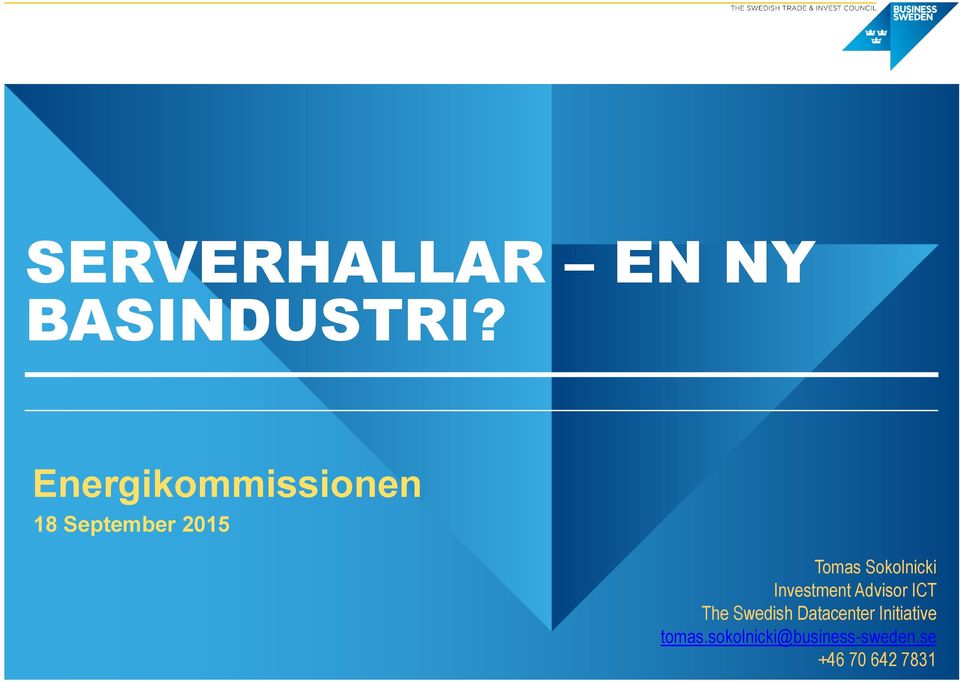 Sokolnicki Investment Advisor ICT The Swedish
