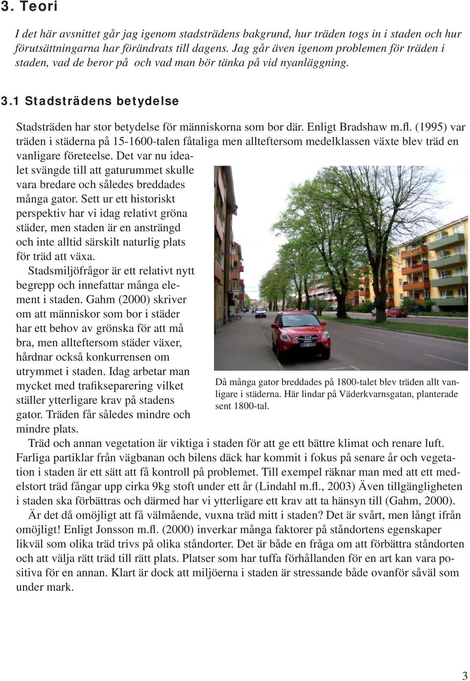 Enligt Bradshaw m.fl. (1995) var träden i städerna på 15-1600-talen fåtaliga men allteftersom medelklassen växte blev träd en vanligare företeelse.