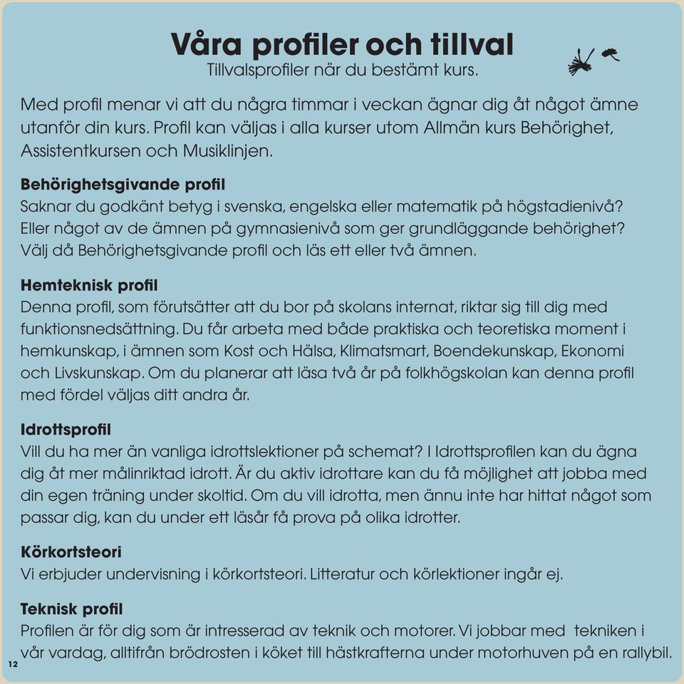 Eller något av de ämnen på gymnasienivå som ger grundläggande behörighet? Välj då Behörighetsgivande profil och läs ett eller två ämnen.