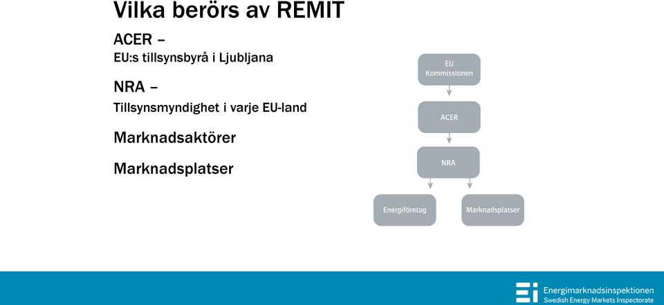 Tillsynsmyndighet i varje