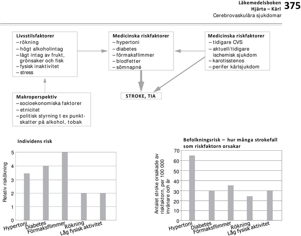 karotisstenos perifer kärlsjukdom Makroperspektiv socioekonomiska faktorer etnicitet politisk styrning t ex punktskatter på alkohol, tobak STROKE, TIA Relativ