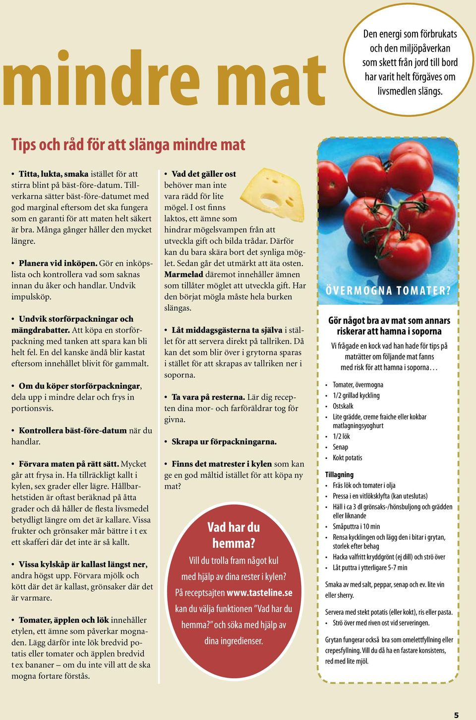 Tillverkarna sätter bäst-före-datumet med god marginal eftersom det ska fungera som en garanti för att maten helt säkert är bra. Många gånger håller den mycket längre. Planera vid inköpen.