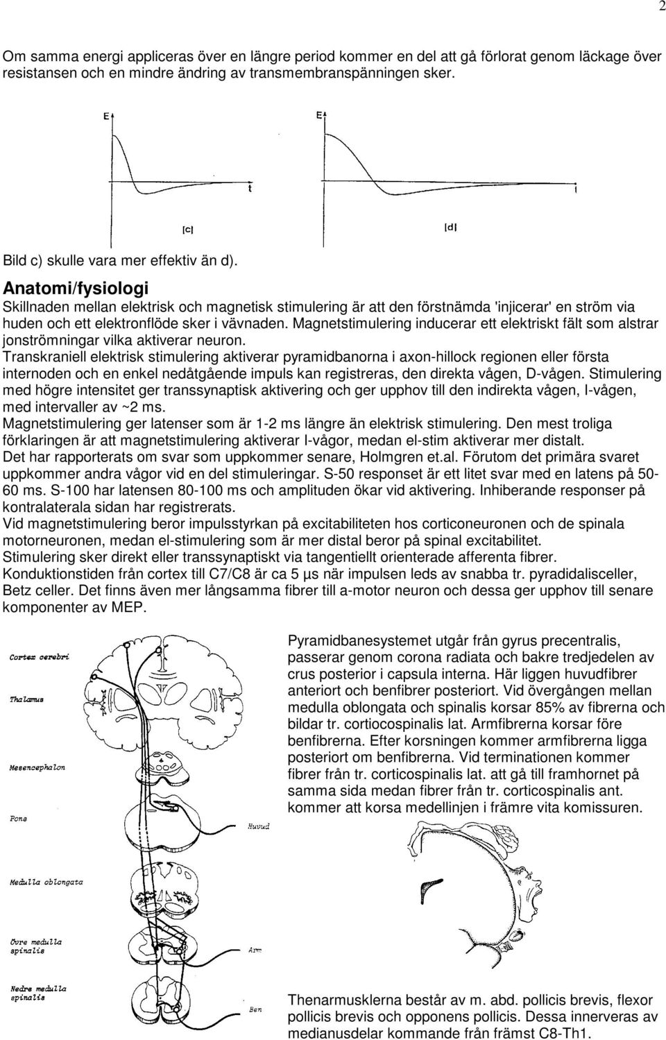 Anatomi/fysiologi Skillnaden mellan elektrisk och magnetisk stimulering är att den förstnämda 'injicerar' en ström via huden och ett elektronflöde sker i vävnaden.