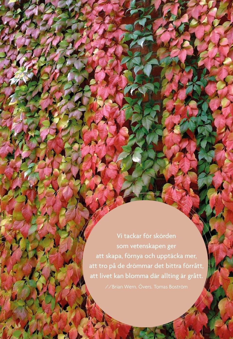 drömmar det bittra förrått, att livet kan blomma