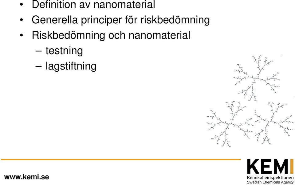 riskbedömning Riskbedömning