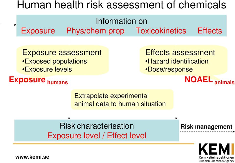 humans Effects assessment Hazard identification Dose/response NOAEL animals Extrapolate