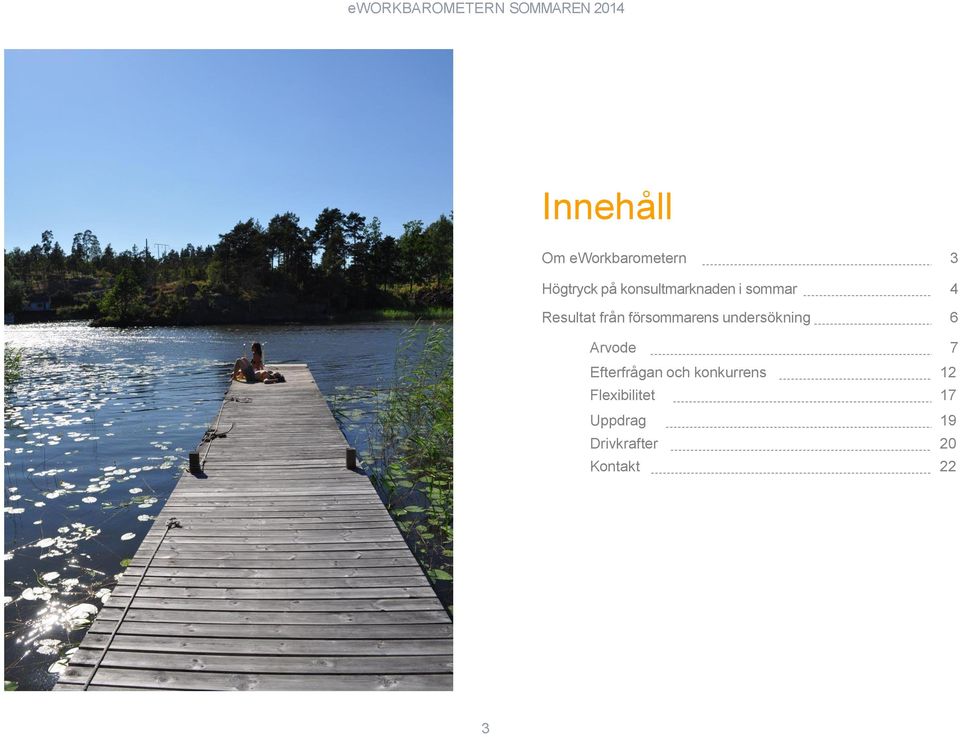 försommarens undersökning 6 Arvode 7 Efterfrågan och