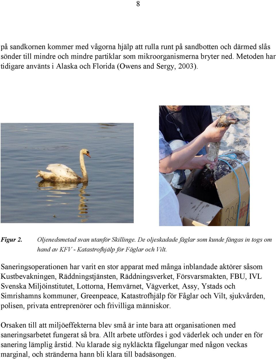 De oljeskadade fåglar som kunde fångas in togs om hand av KFV - Katastrofhjälp för Fåglar och Vilt.