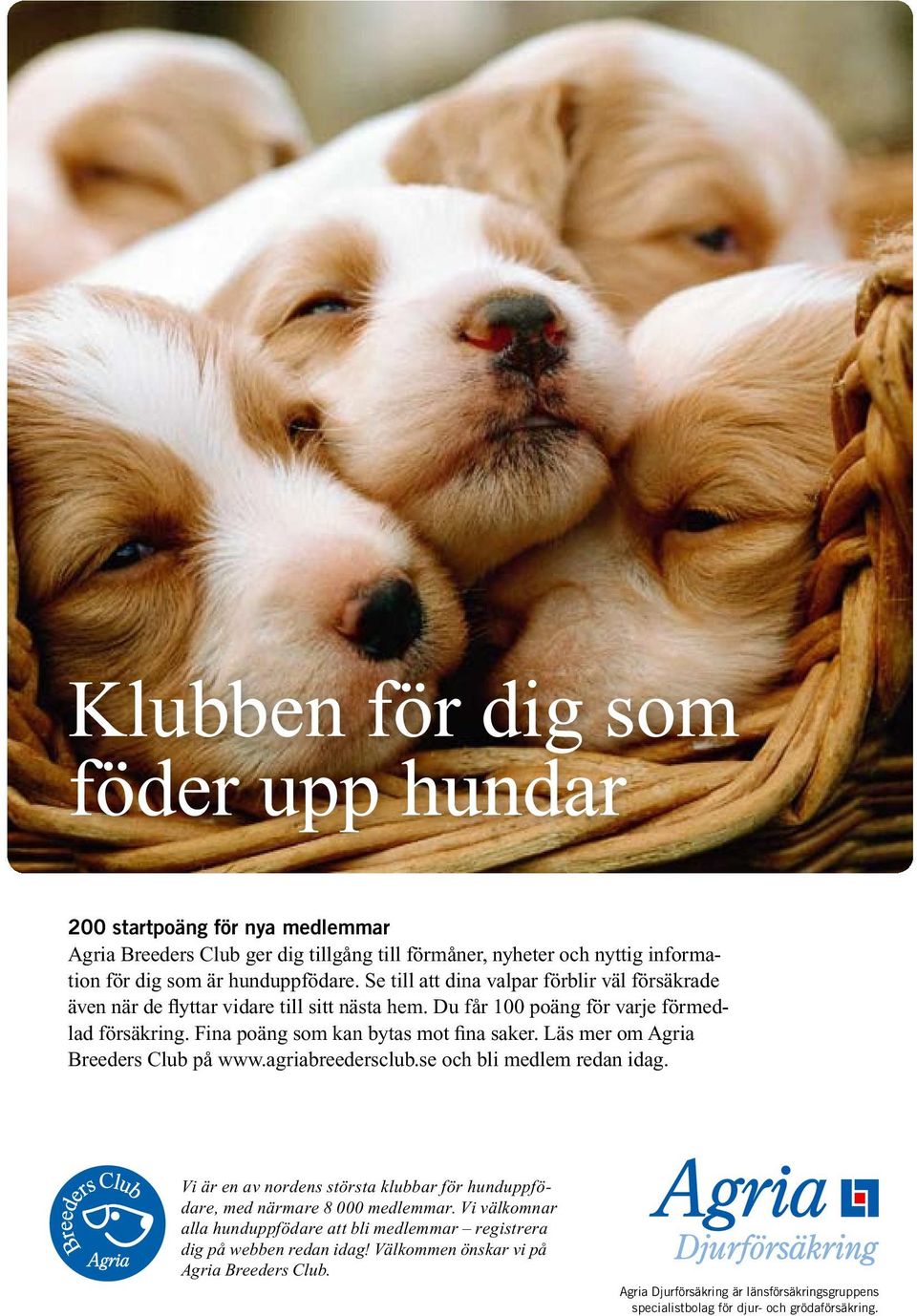 Läs mer om Agria Breeders Club på www.agriabreedersclub.se och bli medlem redan idag. Vi är en av nordens största klubbar för hunduppfödare, med närmare 8 000 medlemmar.