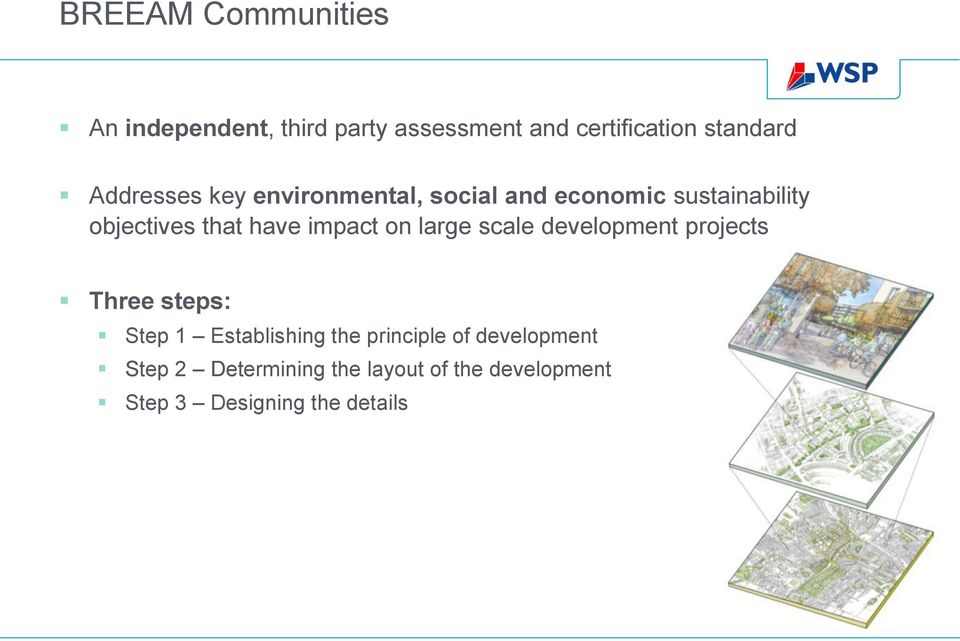 impact on large scale development projects Three steps: Step 1 Establishing the