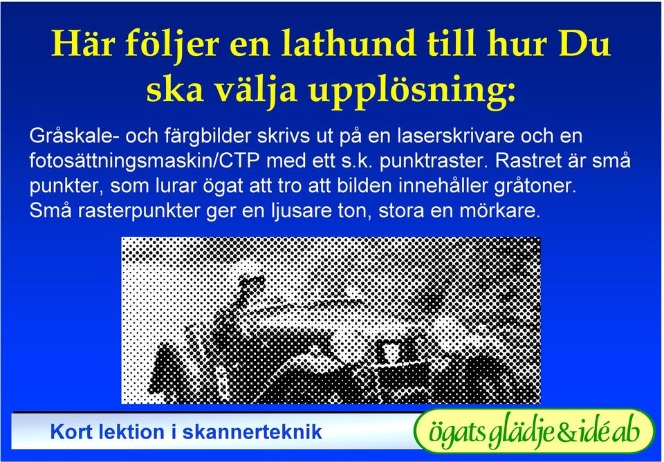 ett s.k. punktraster.