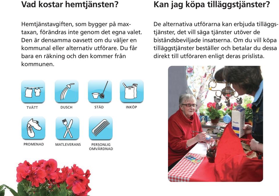 De alternativa utförarna kan erbjuda tilläggstjänster, det vill säga tjänster utöver de biståndsbeviljade insatserna.