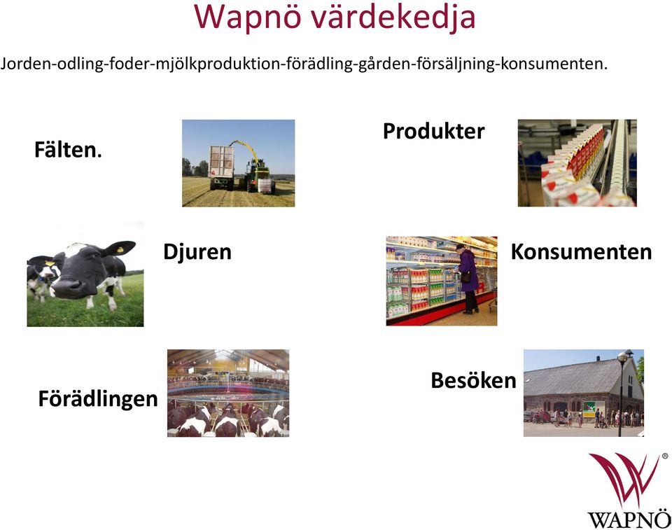 . Produkter I mejeriet pastöriseras, separeras och homogeniseras mjölken och förädlas till våra olika mejeriprodukter.