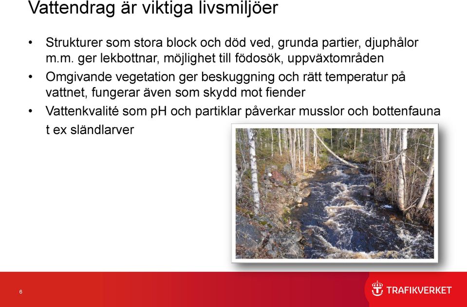 m. ger lekbottnar, möjlighet till födosök, uppväxtområden Omgivande vegetation ger