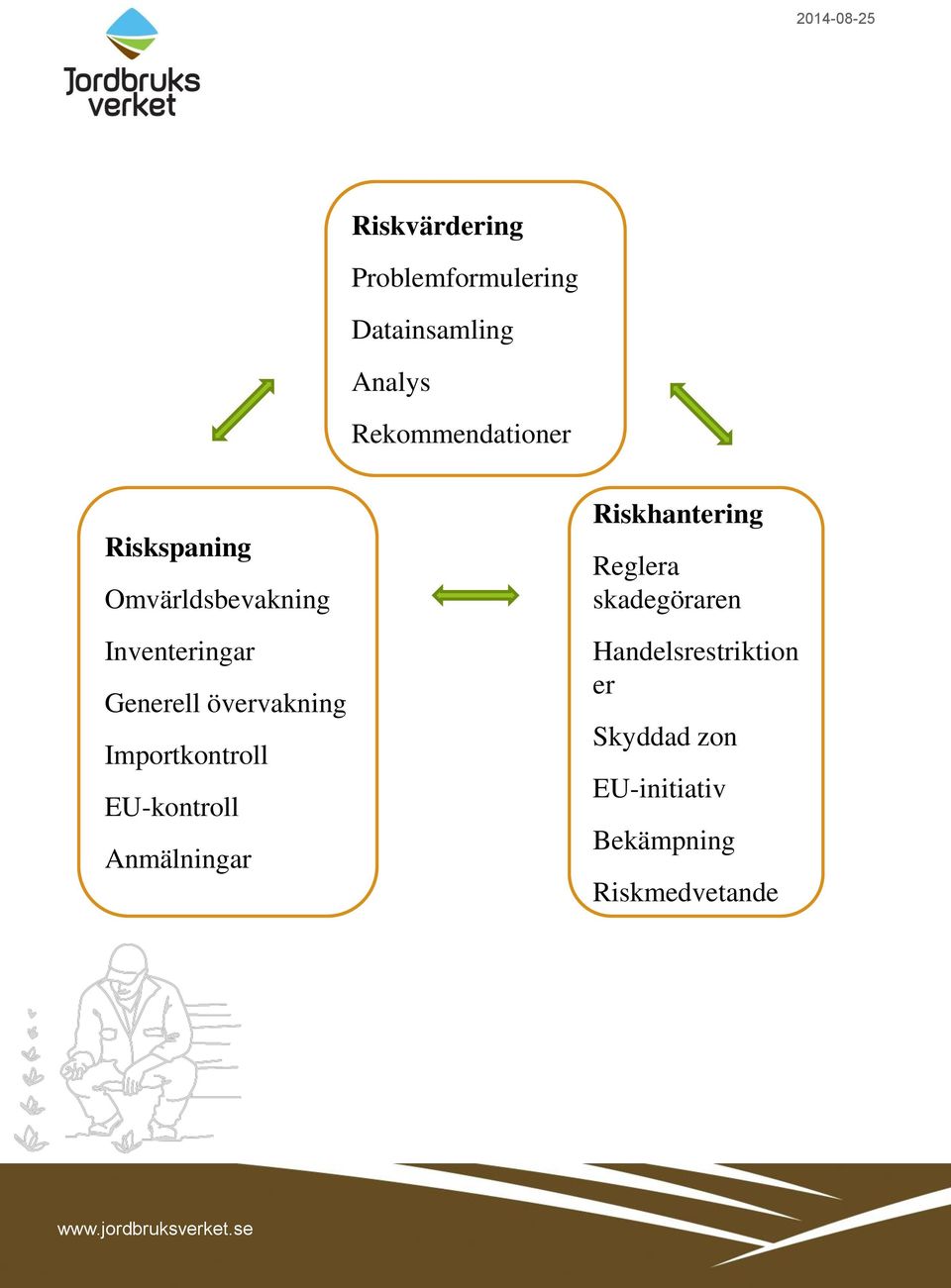 Importkontroll EU-kontroll Anmälningar Riskhantering Reglera