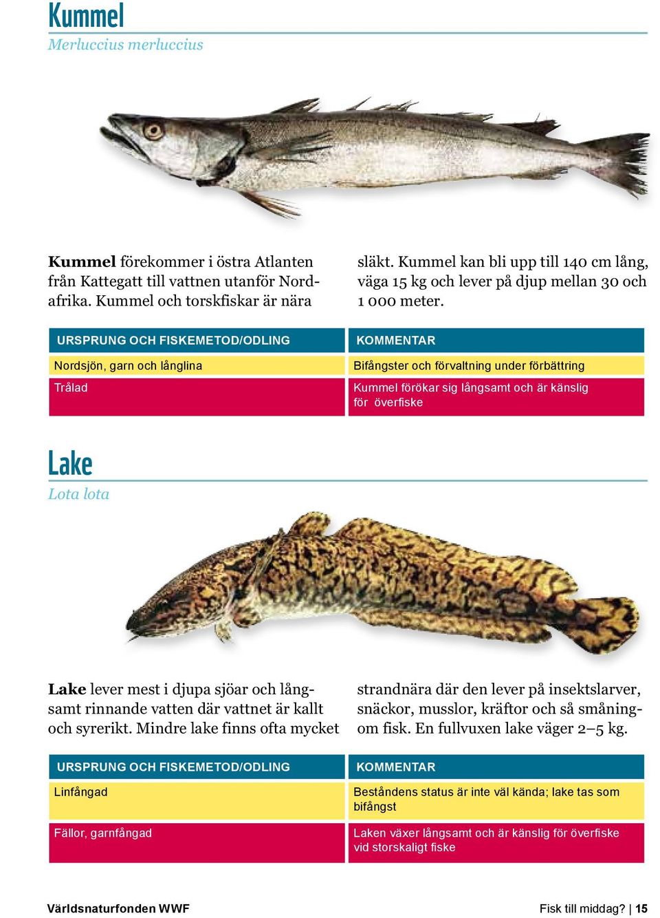 Nordsjön, garn och långlina Trålad Bifångster och förvaltning under förbättring Kummel förökar sig långsamt och är känslig för överfiske Lake Lota lota Lake lever mest i djupa sjöar och långsamt