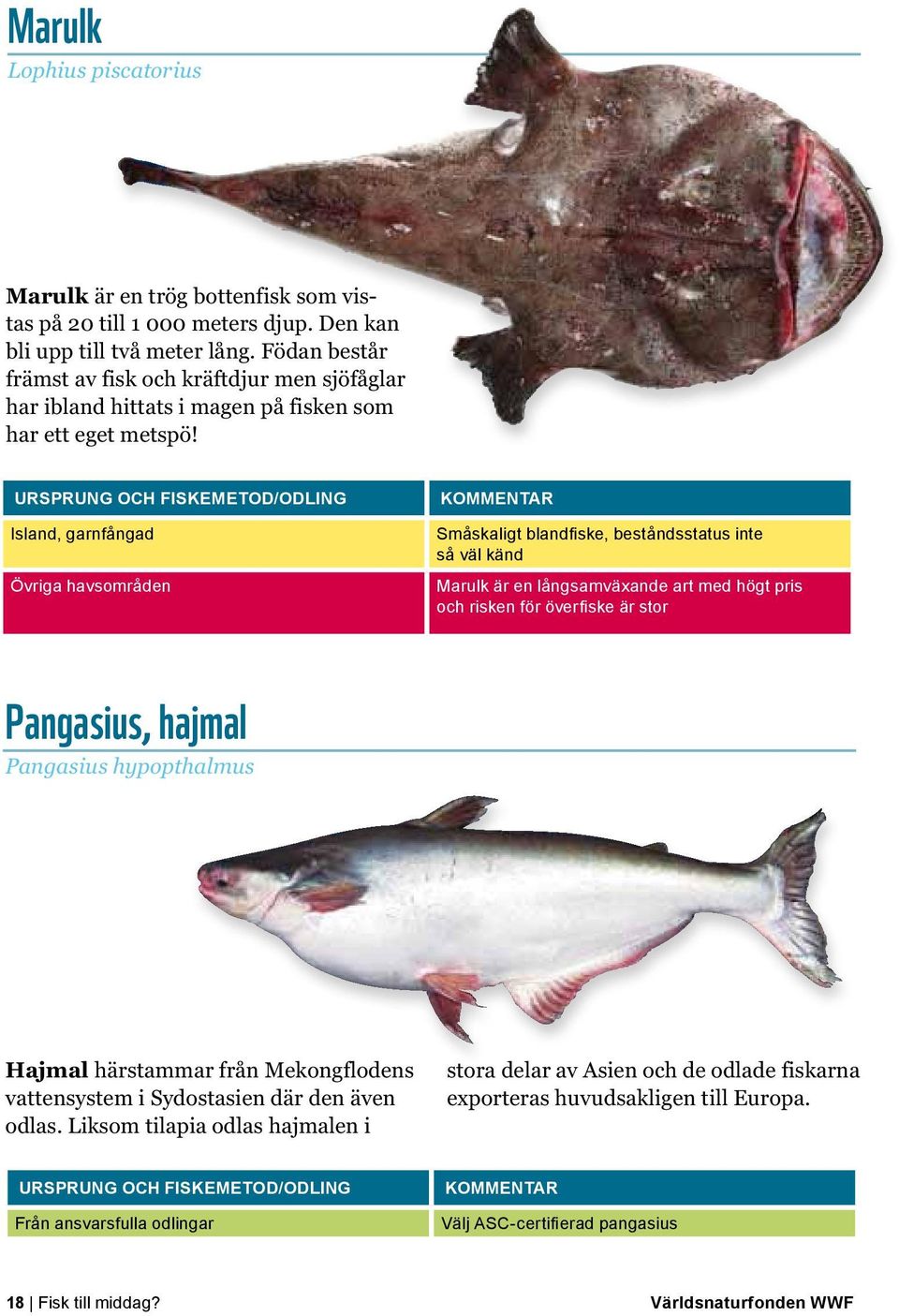 Island, garnfångad Övriga havsområden Småskaligt blandfiske, beståndsstatus inte så väl känd Marulk är en långsamväxande art med högt pris och risken för överfiske är stor Pangasius, hajmal