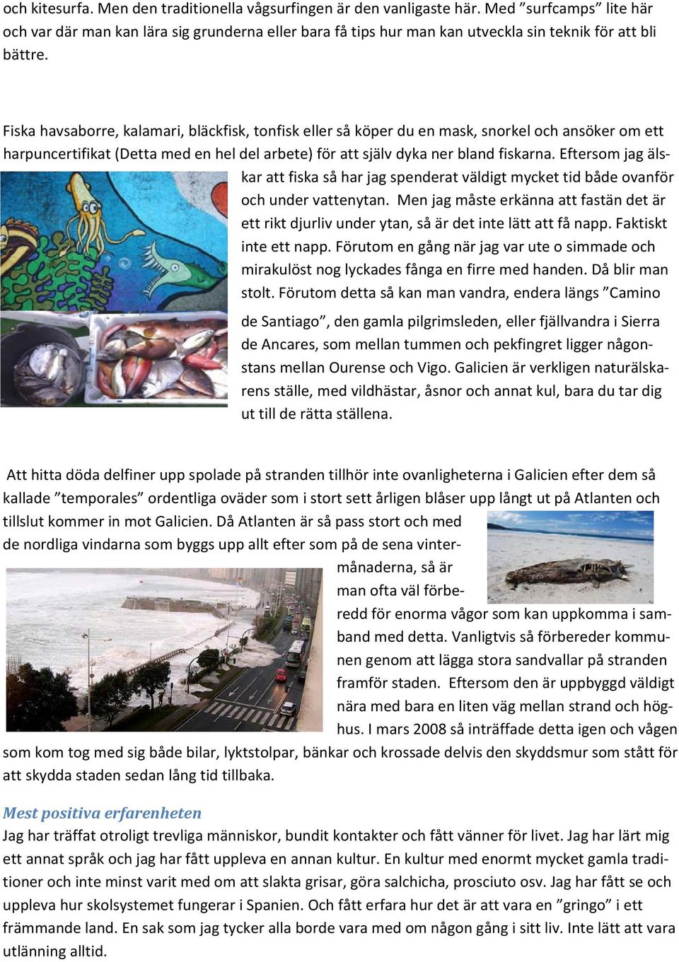 Fiska havsaborre, kalamari, bläckfisk, tonfisk eller så köper du en mask, snorkel och ansöker om ett harpuncertifikat (Detta med en hel del arbete) för att själv dyka ner bland fiskarna.