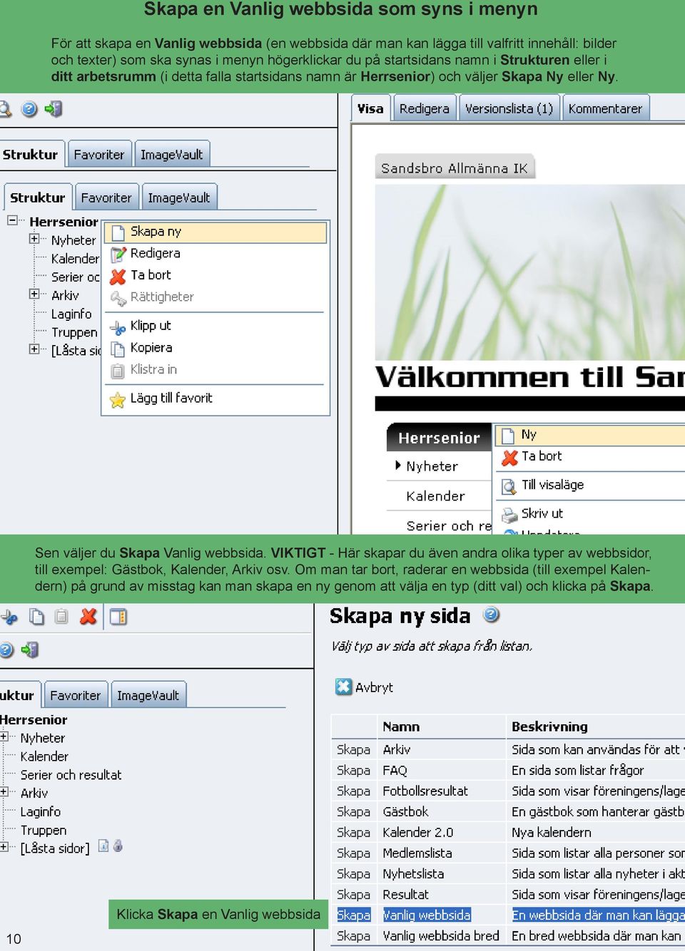 Sen väljer du Skapa Vanlig webbsida. VIKTIGT - Här skapar du även andra olika typer av webbsidor, till exempel: Gästbok, Kalender, Arkiv osv.