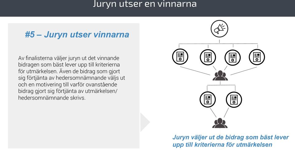 Även de bidrag som gjort sig förtjänta av hedersomnämnande väljs ut och en motivering till varför