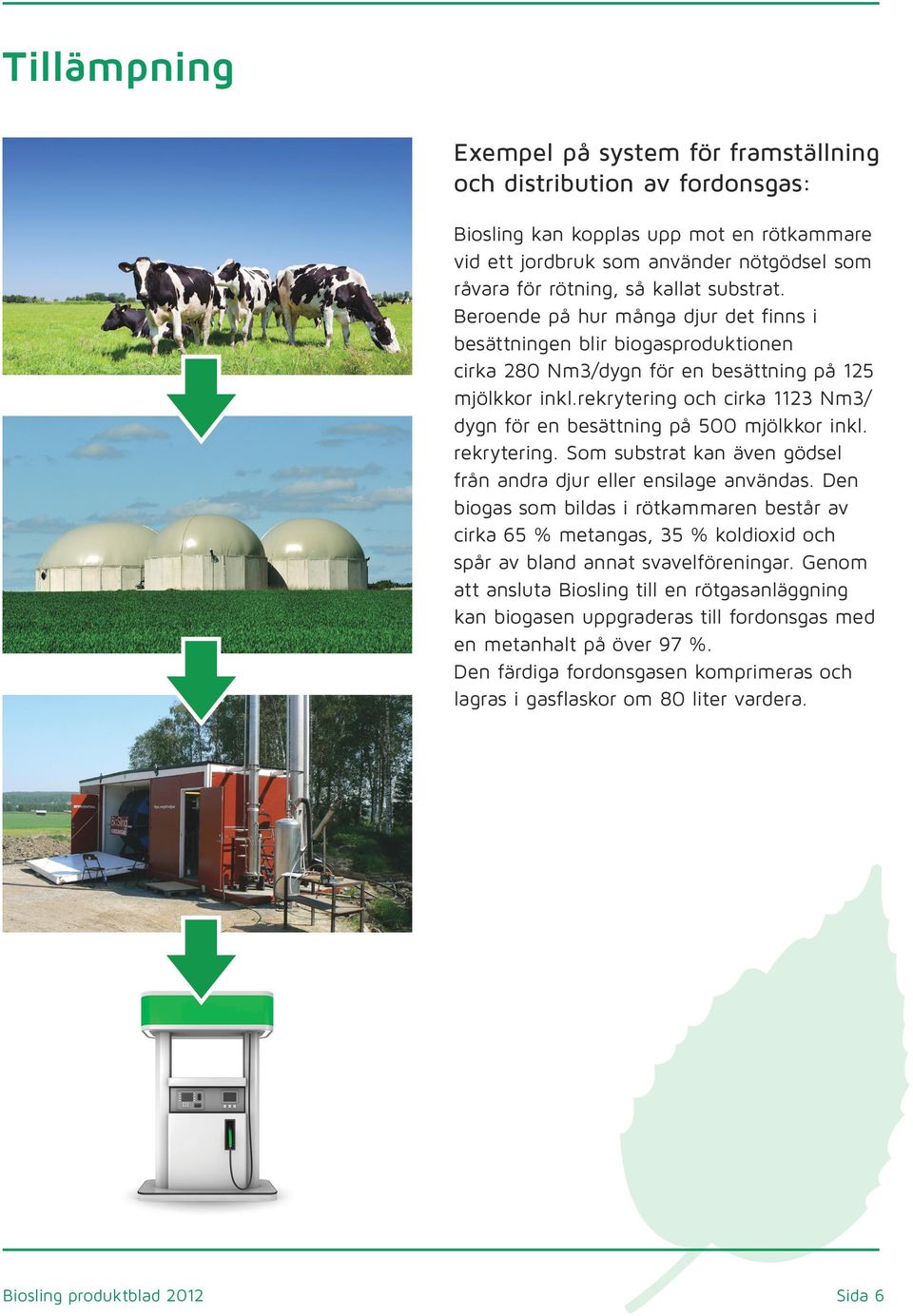 rekrytering och cirka 1123 Nm3/ dygn för en besättning på 500 mjölkkor inkl. rekrytering. Som substrat kan även gödsel från andra djur eller ensilage användas.