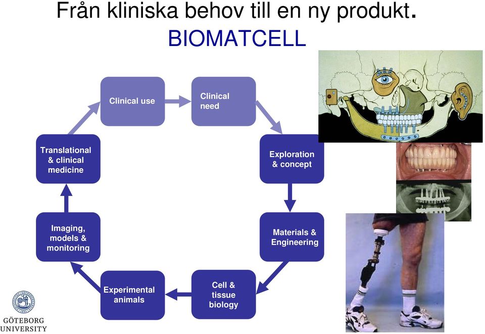 clinical medicine Exploration & concept Imaging, models &