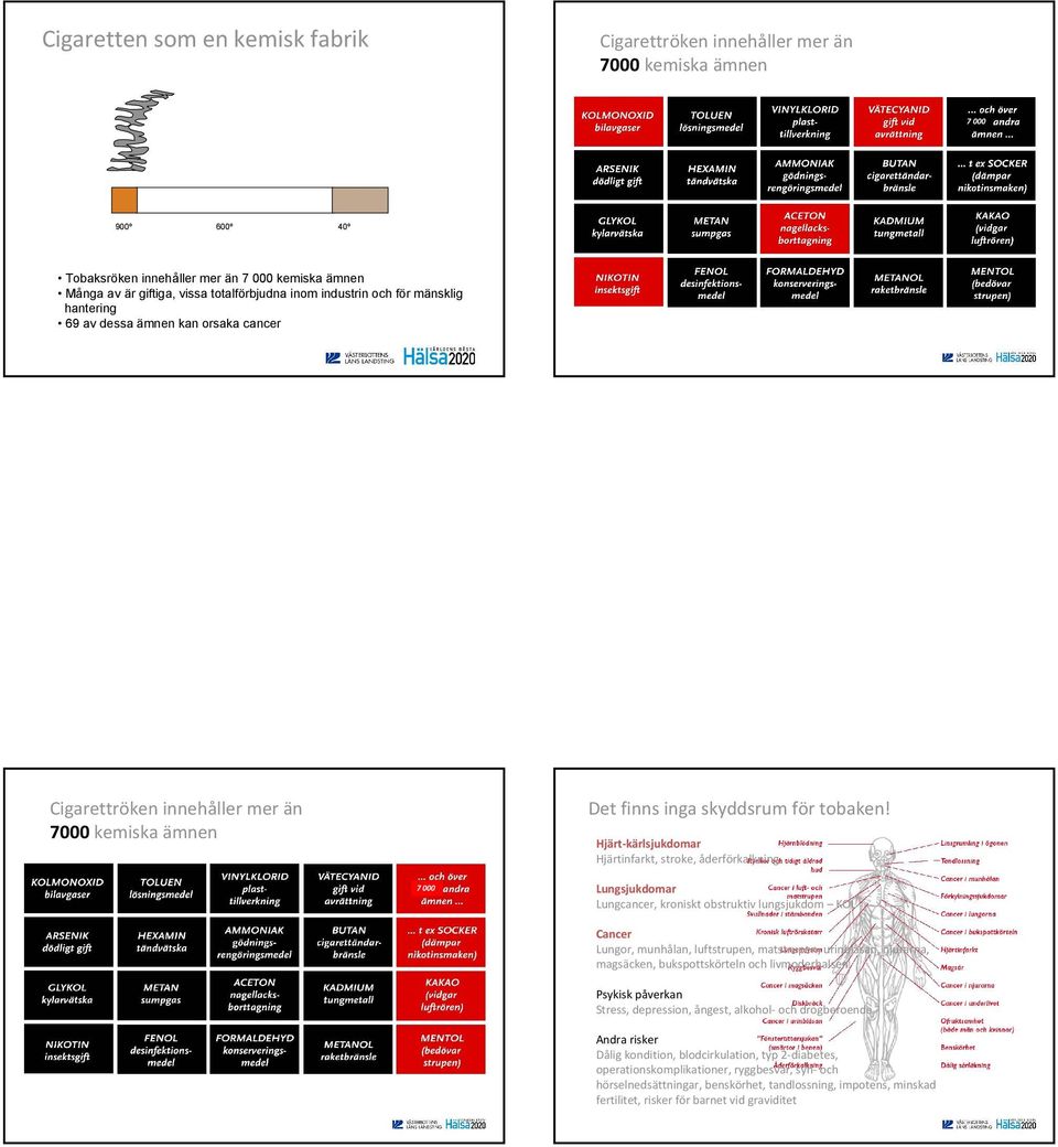 Hjärt-kärlsjukdomar Hjärtinfarkt, stroke, åderförkalkning 7 000 Lungsjukdomar Lungcancer, kroniskt obstruktiv lungsjukdom KOL Cancer Lungor, munhålan, luftstrupen, matstrupen, urinblåsan, njurarna,