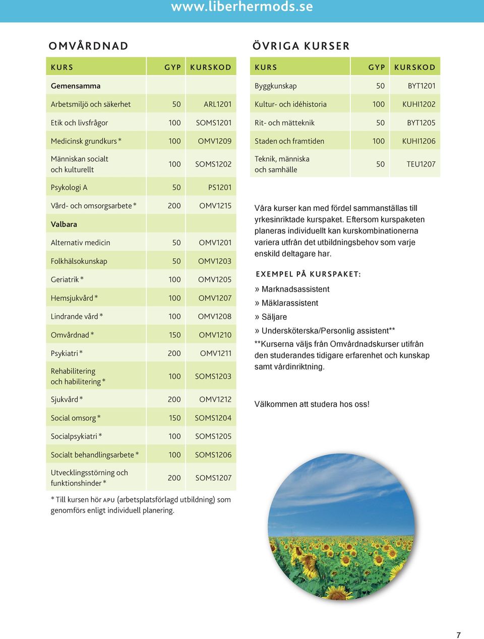 KUHI1202 Rit- och mätteknik 50 BYT1205 Staden och framtiden 100 KUHI1206 Människan socialt och kulturellt 100 SOMS1202 Teknik, människa och samhälle 50 TEU1207 Psykologi A 50 PS1201 Vård- och