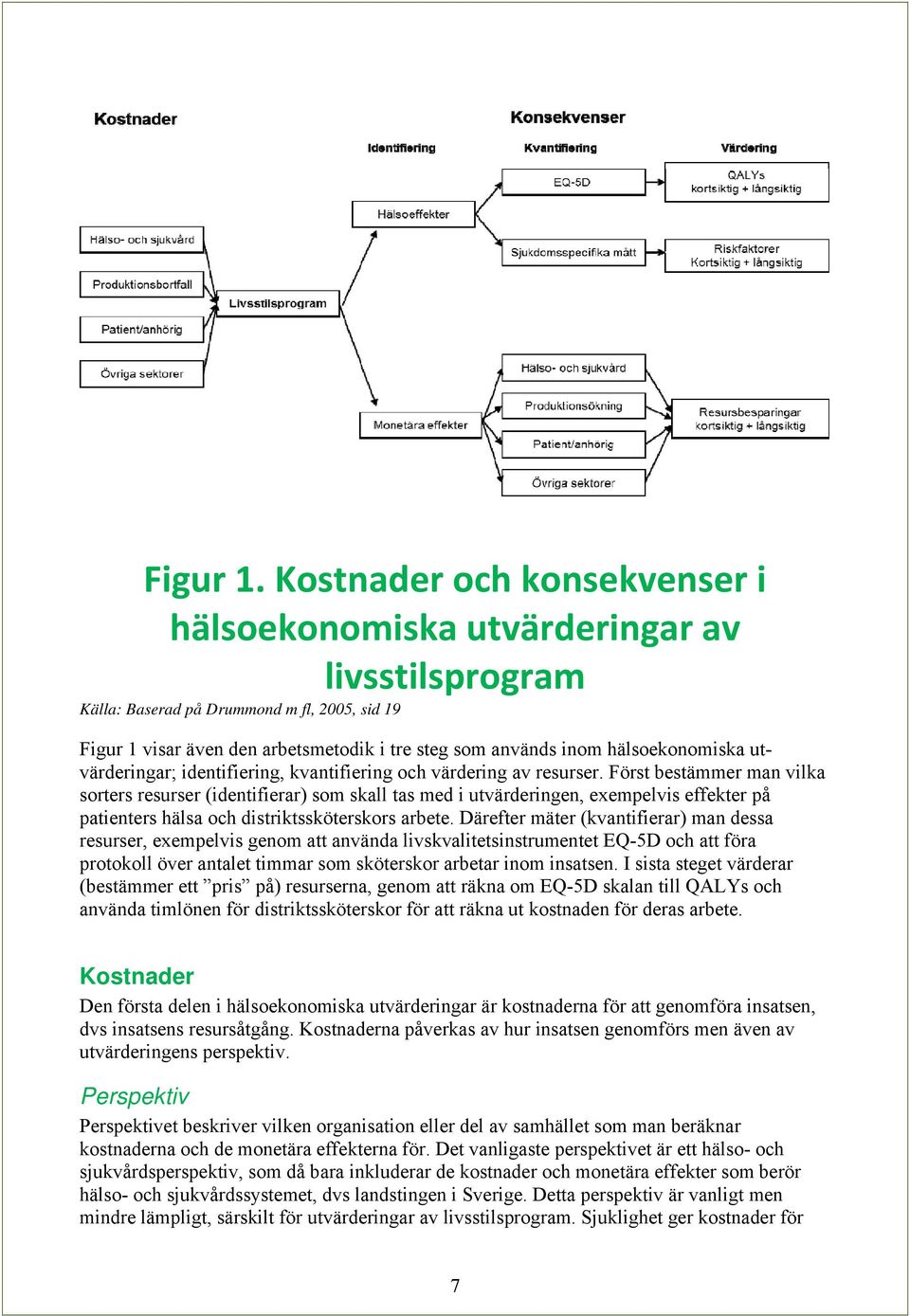 hälsoekonomiska utvärderingar; identifiering, kvantifiering och värdering av resurser.